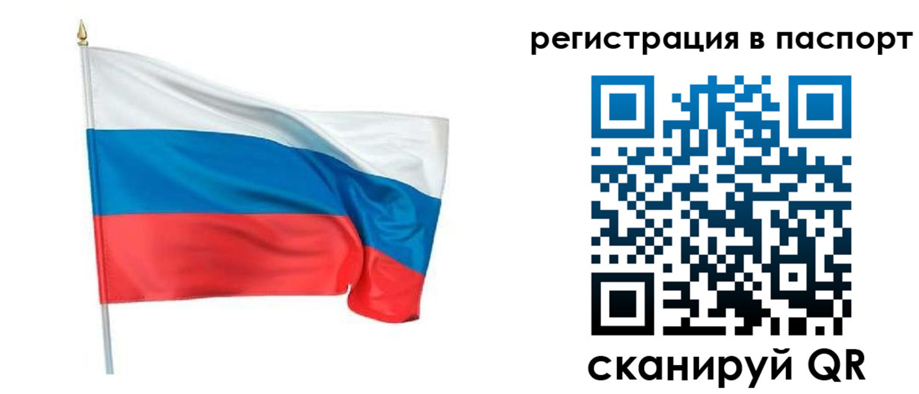 временная регистрация недорого в Апатитах