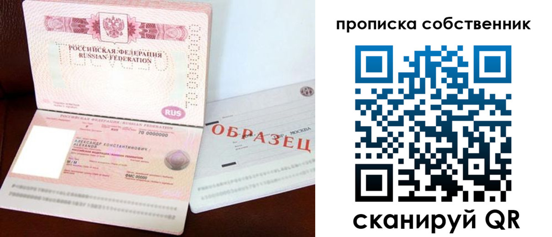 прописка гарантия в Апатитах